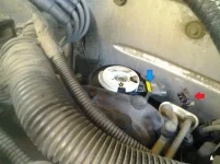 Dizzy and CPS 1.webp