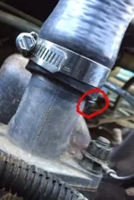 Radiator hose 2.webp