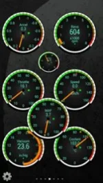 T1.webp