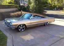 impala2.webp