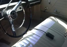 impala4.webp