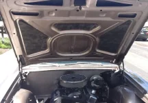 impala9.webp